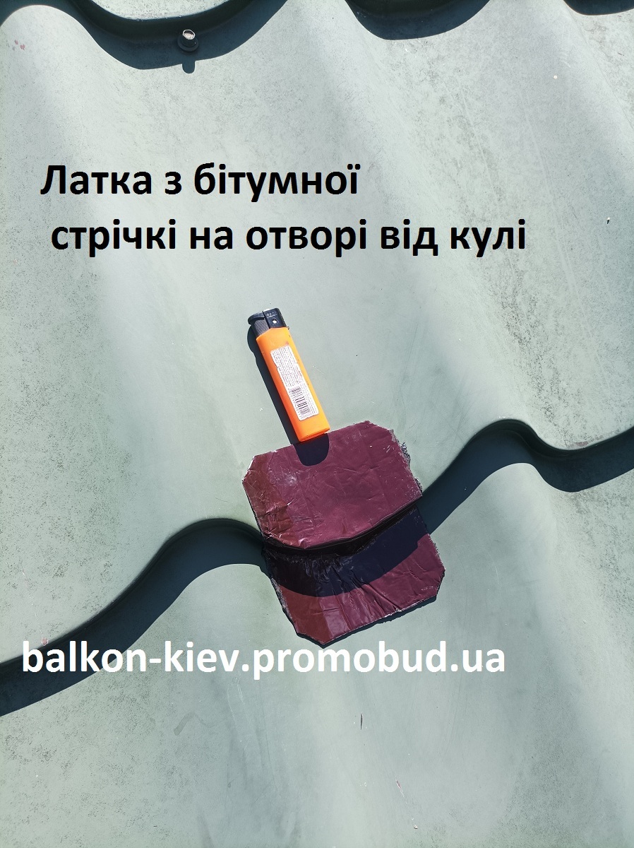remont-dahu-kyev.jpg