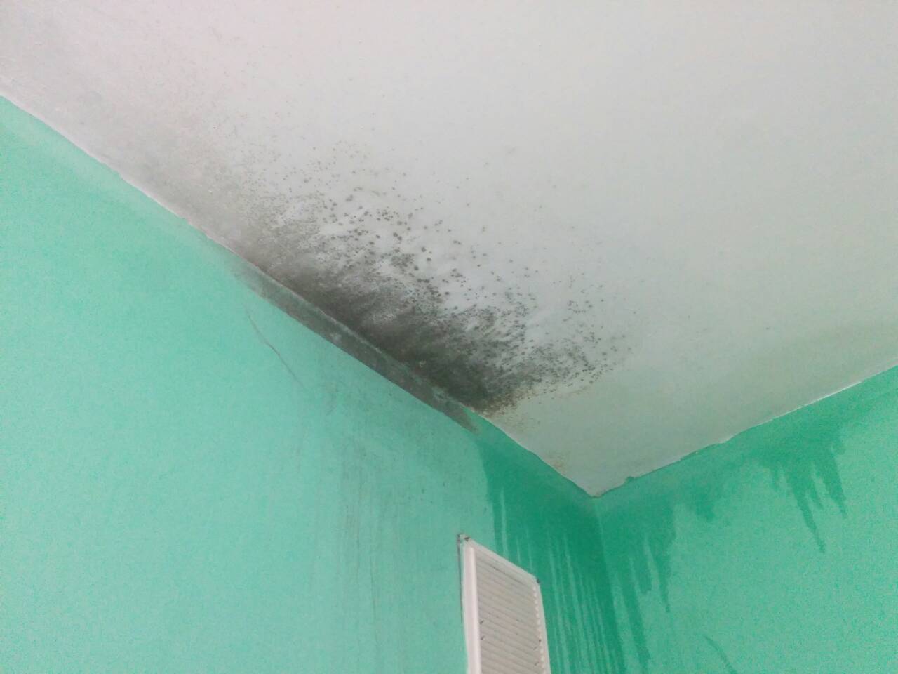 viber image2.jpg