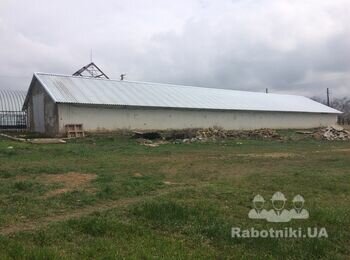 Покрівля / Коблево