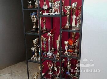 Полички для нагород, індивідуальне замовлення.