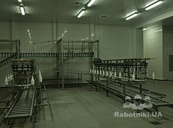 Цех забою Харківська область