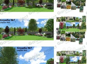 Приклад детального розбору варіантів з підбором фотографій використаних у проекті рослин