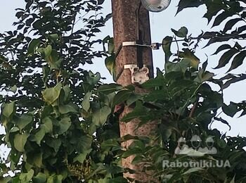 Монтаж вуличного освітлення