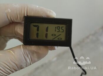Покрасочные работы выполняем, шоково поднимая влажность.