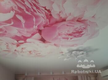 Фотопечать пионы
