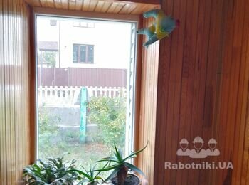 Внутрішня обшивка стін коридору, дерев'яной вагонкой(сосна)