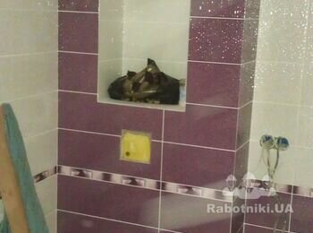 С.Рожівка Київської обл.