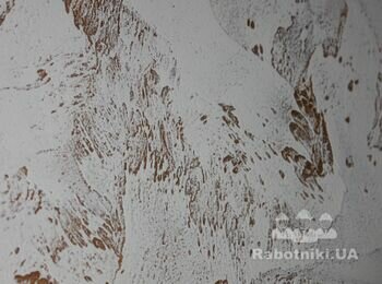 Декоративная штукатурка "контраст"