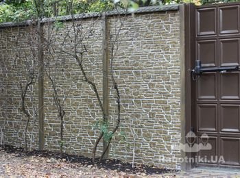 Декоративная покраска (еврозабор)