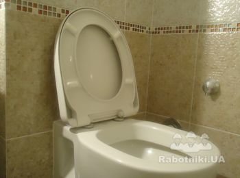 Консольный унитаз