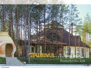 Строительство ресторана и устройство кровли.