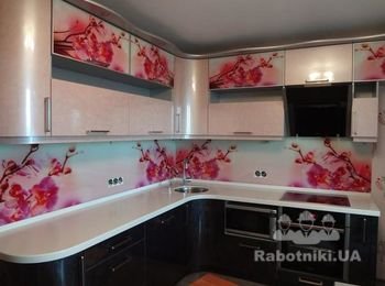 Кухня + скинали