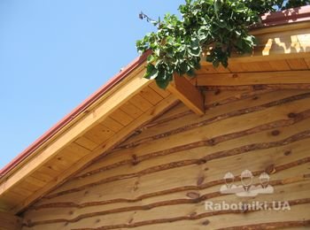 ТТ. Наши работы по дереву.
www.masterTT.com.ua