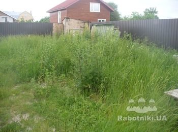 до начала