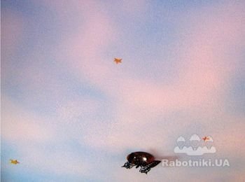 Компания Finish ART выполняет художественную роспись любой сложности и объёмов, согласно эскизов, которые предоставляют заказчики.  Так же, при необходимости, сотрудники Finish ART смогут подобрать необходимый рисунок, который подчеркнет Ваш интерьер. Стоимость работы составляет от 5,00 евро/дм2 и зависит от её сложности.