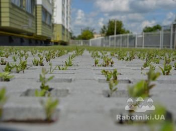 Укладка газонной плитки для жилищного комплекса в г. Борисполь