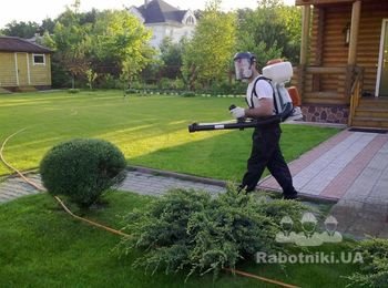Обработка газонов от заболеваний