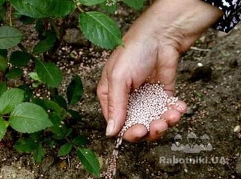 подкормка газона