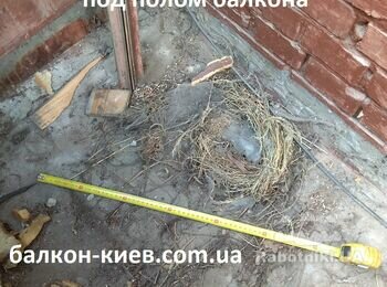 Демонтаж старого пола на балконе, принес вот такую неожиданную находку! Покинутое птичье гнездо, очевидно голубиное.