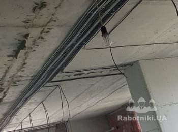 Трасса