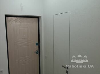 Карта мира на двери скрытого монтажа