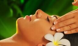 Компания Insay SPA