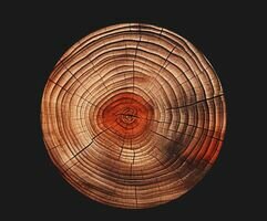 Компанія Wood restoration