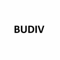 Компанія BUDIV