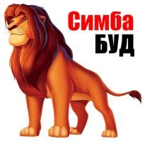 Компания Симба Буд