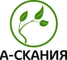 Компанія А-Скания