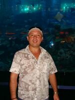 Компания Артем Ципко