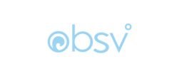 Компанія BSV