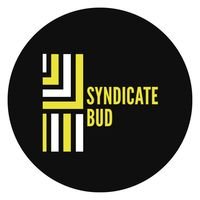 Компанія SyndicateBud