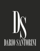 Компания Даріо Санторіні Групп