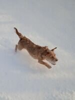 Компания ФОП