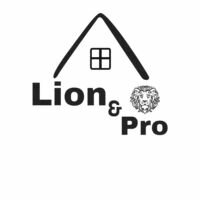 Компания Lion&PRO