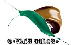 Компанія VASHcolor