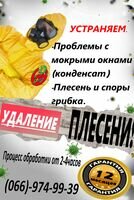 Компания Уаление плесени