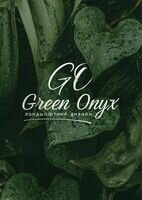 Компания Green Onyx