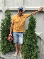 Компания Роттердам