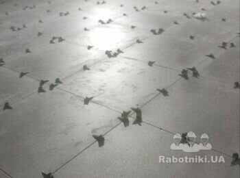 Бригада плиточников ищет объем роботы.