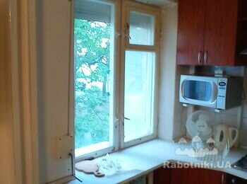 Дрібний ремонт, поклейка шпалер на стіни та стею 1 кімн квартира