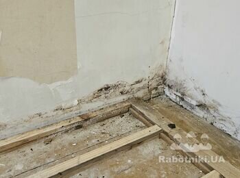 Зробити підлогу та позбутися плісняви з кутів у двох кімнатах
