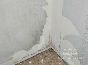 Зробити підлогу та позбутися плісняви з кутів у двох кімнатах