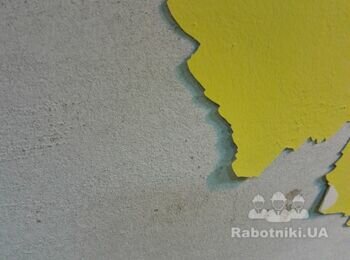 Фарбування стіни площею 7м