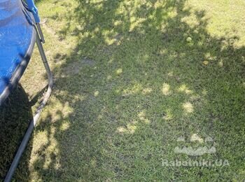 Укладка тротуарної плитки 24 кв.м