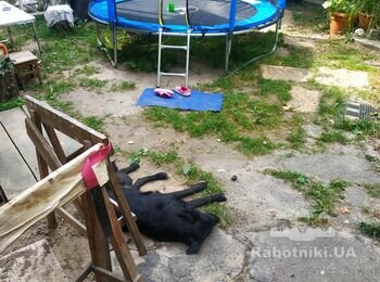 Укладання тротуарної плитки , приблизно 90м2.