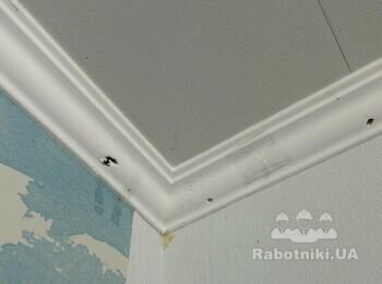 Змонтувати стельовий плінтус, змонтувати одну секцію підвісної стелі