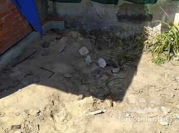 Укладка 47 кв.м. тротуарной плитки навколо будинку