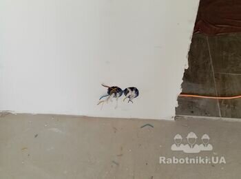 Потрібно поставити розетки і т.д